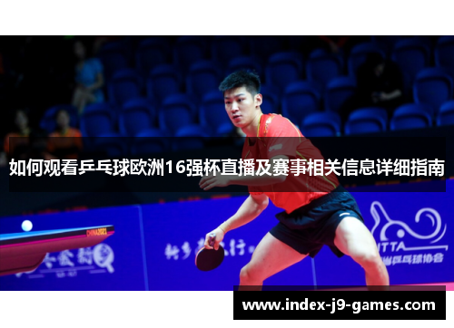 如何观看乒乓球欧洲16强杯直播及赛事相关信息详细指南